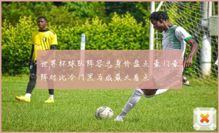 世界杯球队阵容总身价盘点 豪门豪阵对比冷门黑马成最大看点